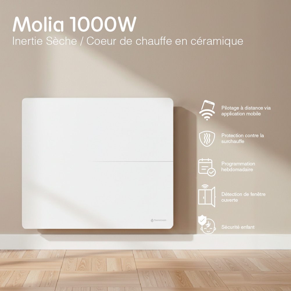 Radiatore elettrico connesso 1000W doppio sistema di riscaldamento orizzontale Bianco Molia