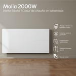 Radiatore elettrico connesso 2000W doppio sistema di riscaldamento orizzontale Bianco Molia - Thermoceram FR