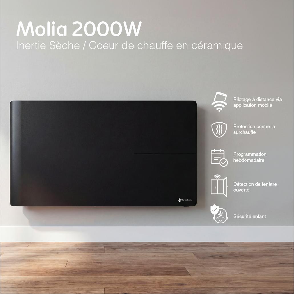 Radiatore elettrico connesso 2000W doppio sistema di riscaldamento orizzontale Nero Molia